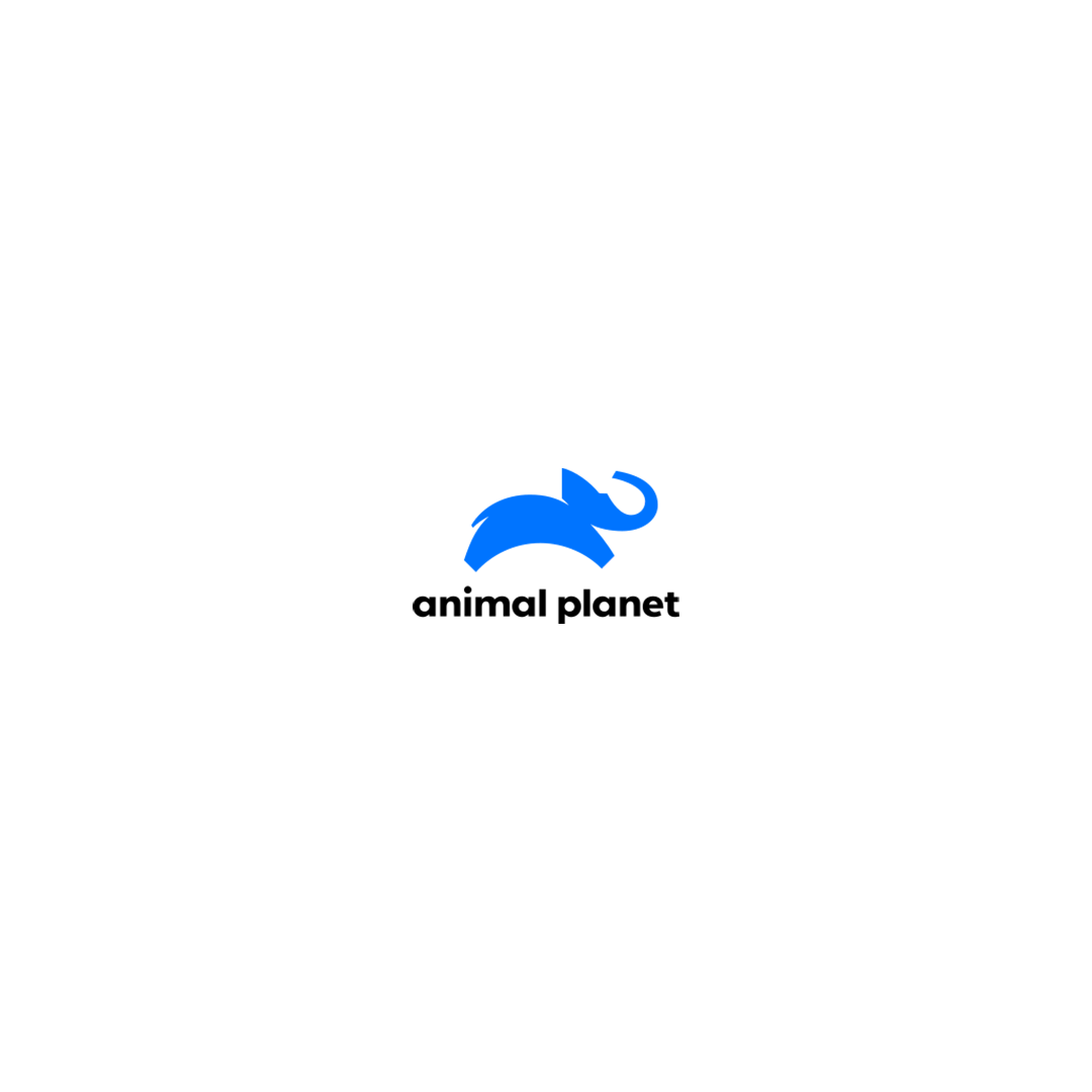 utelekom-referanslar-logo-animal-planet